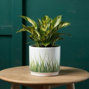 seagrass pot
